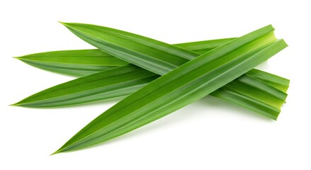 Several slender green leaves overlap featuring parallel lines and pointed tips on a bright white surface