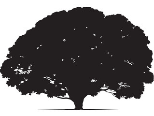 Beautiful Tree With Rounded Canopy 2D Vector Line Art Silhouette  