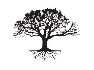 Tree With Shallow Trunk Roots Minimal 2D Vector Line Art Design  