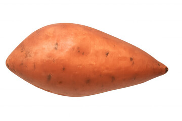 Raw sweet potato, an orange-skinned root vegetable, offering nutrition and a sweet flavor, ready for culinary use