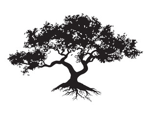 Natural Tree with Beautifully Contorted Branches Vector Drawing