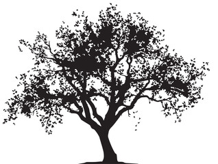 Mystical Tree With Flowing Vine Details Modern Vector Line Art
