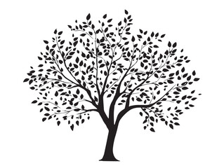 Obraz premium Botanical Tree With Delicate Vines Minimalist Vector Line Illustration