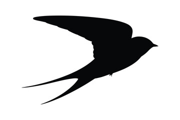 Silhouette of a swallow bird in flight with long forked tail feathers