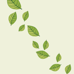 green leaves background