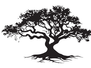 Obraz premium Twisted Oak Tree With Roots Elegant 2D Vector Line Art Silhouette 