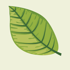 leaves illustration 