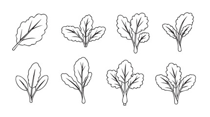 Collection of hand-drawn leaf designs for nature and botanical projects vector