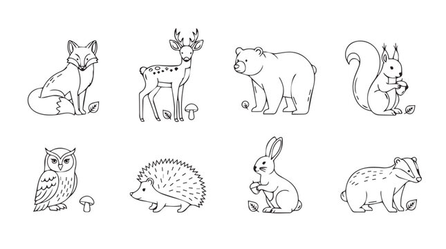 Collection of outline forest animals fox deer bear squirrel owl hedgehog rabbit and badger simple drawing vector