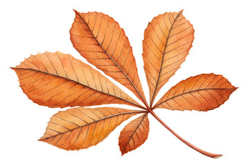 Watercolor illustration of an autumn chestnut leaf with five orange-brown leaflets. The leaf shows delicate veins and natural texture, painted in a warm seasonal palette. Perfect for fall-themed desig