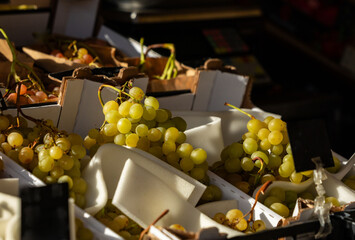 Fresh green grapes in market display with sunlight