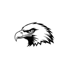 A detailed black and white illustration of an eagle's head in profile