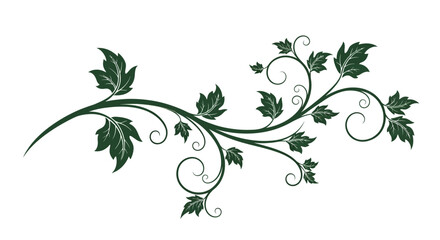 Elegant dark green floral vine illustration with leaves and swirling decorative elements, perfect for design.