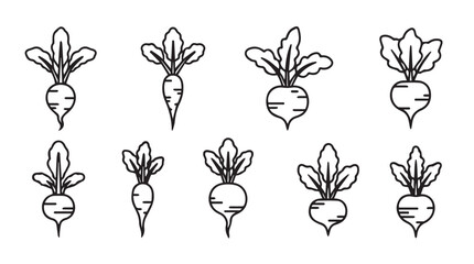 Collection of hand drawn radishes with green leaves for organic farming and healthy food concepts vector