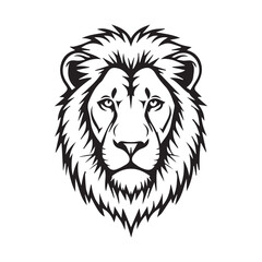 lion vector illustration