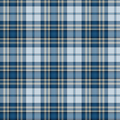 Blue and white plaid fabric with a seamless checkered pattern suitable for a textile design or wallpaper backdrop