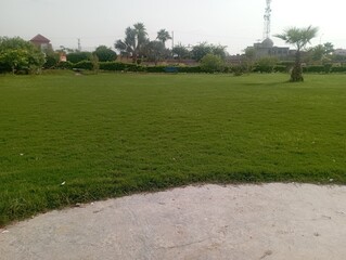 Obraz premium Serene green lawn stretches out, perfect for picnics, relaxing, and enjoying nature's beauty in a tranquil setting, ideal for outdoor recreation