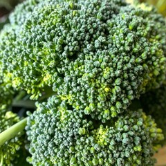 Close up broccoli florets showing organic vegetable surface and natural texture detail