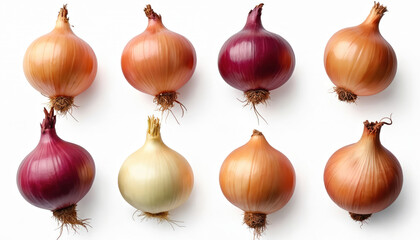 Several onions of different types are arranged on white background. Yellow and red bulb vegetables are displayed for culinary or healthy eating themes. Variety of ingredients for cooking.