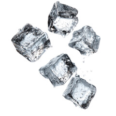 Obraz premium Five translucent ice cubes, scattered on a transparent black background, showing internal reflections