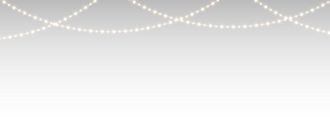 Shining Festive Light Chain