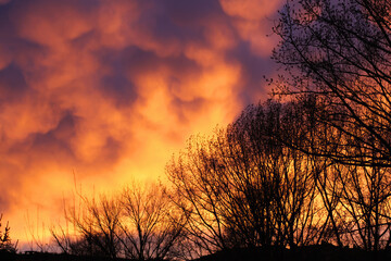 Bare trees silhouetted against dramatic orange sunset clouds