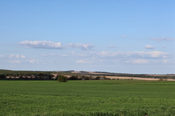 Obraz premium rural landscape with a farm