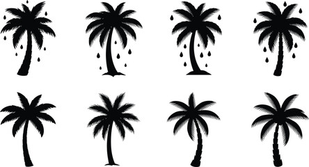 Vector art of collection of eight black silhouette palm trees with different trunk shapes and frond styles, isolated on a
