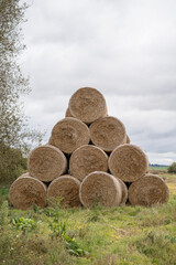 hay bales in the field © Margarita