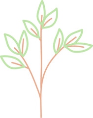 leaf