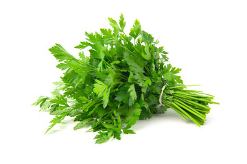 Fresh green parsley bunch on white background.