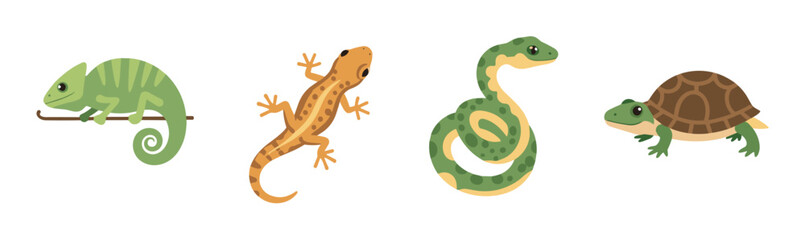 Fototapeta premium Illustrations of a green chameleon on a branch, an orange-brown gecko, a coiled green-yellow snake, and a brown turtle with a green shell.