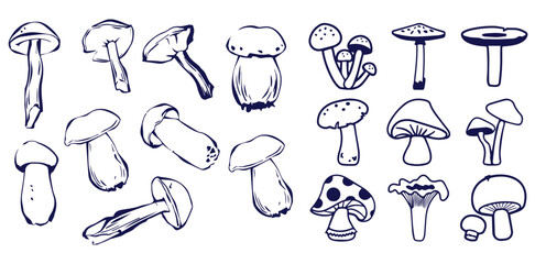 Outline mushrooms doodle big set. Fungi hand drawn sketch of various shapes and sizes isolated on white background