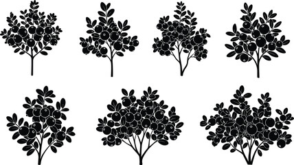 Fruit tree and bush silhouettes collection, abstract botanical illustration, decorative foliage design, isolated vector plants, natural branching patterns, agriculture art