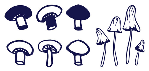 Outline mushrooms doodle big set. Fungi hand drawn sketch of various shapes and sizes isolated on white background