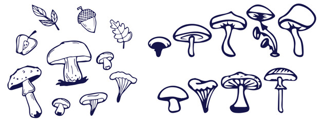 Outline mushrooms doodle big set. Fungi hand drawn sketch of various shapes and sizes isolated on white background