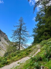 Obraz premium road in the mountains