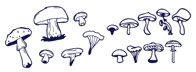 Outline mushrooms doodle big set. Fungi hand drawn sketch of various shapes and sizes isolated on white background