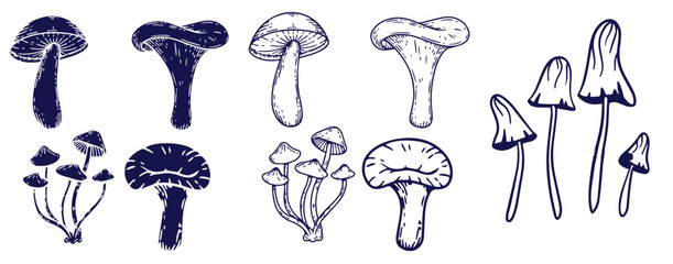 Outline mushrooms doodle big set. Fungi hand drawn sketch of various shapes and sizes isolated on white background