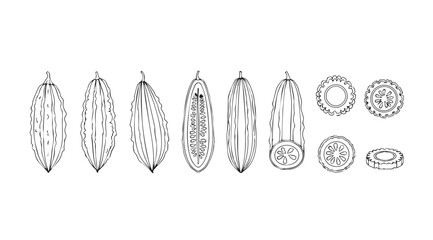 Collection of detailed outline drawings of crystals and gemstones for artistic use vector