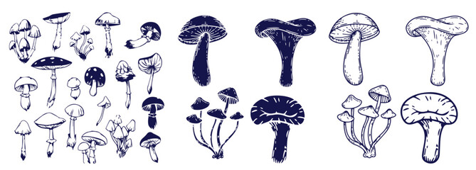 Outline mushrooms doodle big set. Fungi hand drawn sketch of various shapes and sizes isolated on white background