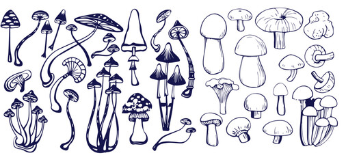 Outline mushrooms doodle big set. Fungi hand drawn sketch of various shapes and sizes isolated on white background