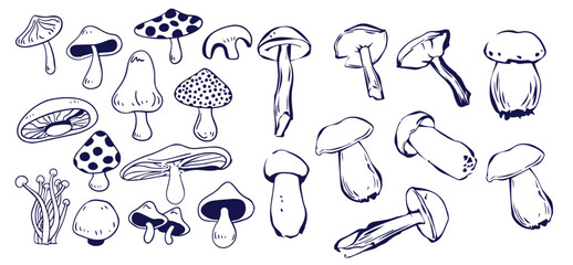 Outline mushrooms doodle big set. Fungi hand drawn sketch of various shapes and sizes isolated on white background