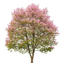 Joyful elderly woman with curly hair laughing heartily wearing glasses and colorful blouse