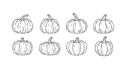 Collection of hand-drawn whimsical pumpkins for autumn harvest seasonal celebrations vector