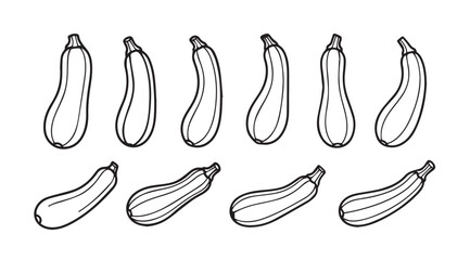 Hand drawn zucchini vegetable collection various angles isolated fresh organic produce line art drawing vector