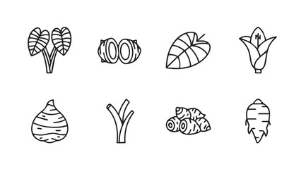 Hand-drawn tropical root vegetables and leaves collection for culinary and botanical designs vector