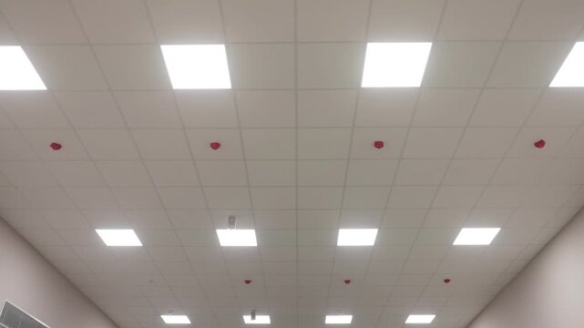 A low-angle view of a modern office ceiling, showing the integrated fire safety system with numerous red fire sprinklers and smoke detectors among the LED lights.