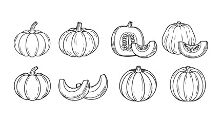 Hand drawn pumpkin collection elements for autumn harvest seasonal design and decorations vector
