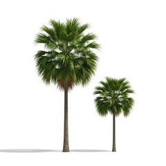 Fitness class performing crunches on mats in a modern gym setting